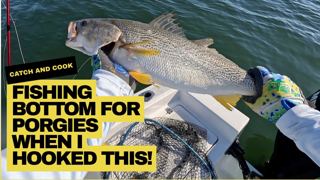 Fishing Bottom for Porgies When I Hooked This! Catch and Cook.