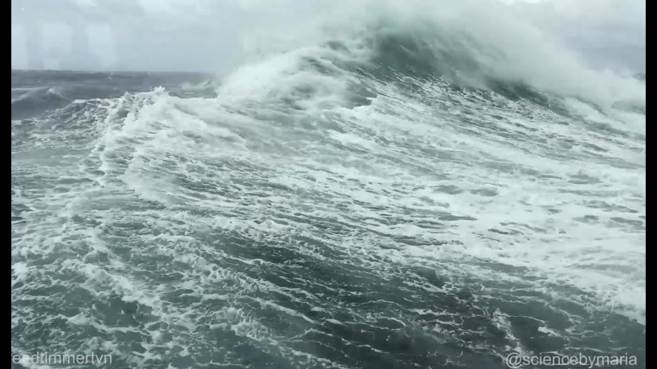 Extreme landing on CAPE HORN by Zodiac boat!