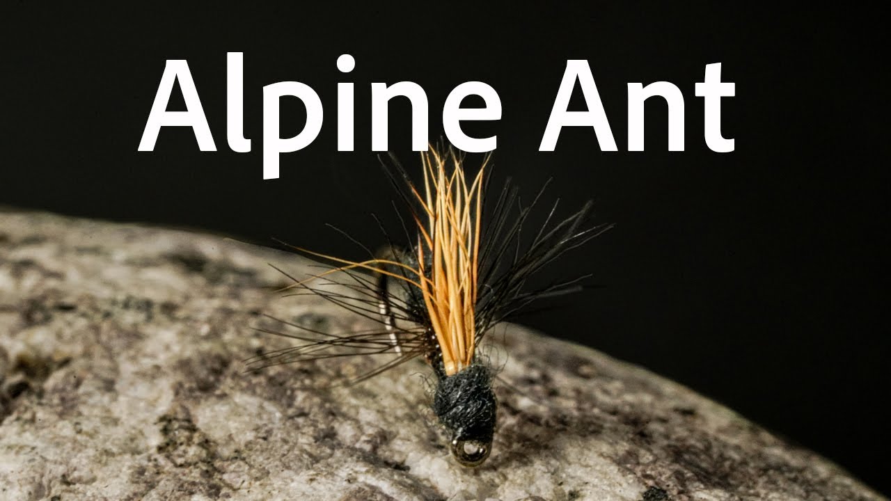 How to tie the Alpine Ant | Fly Tying Tutorial