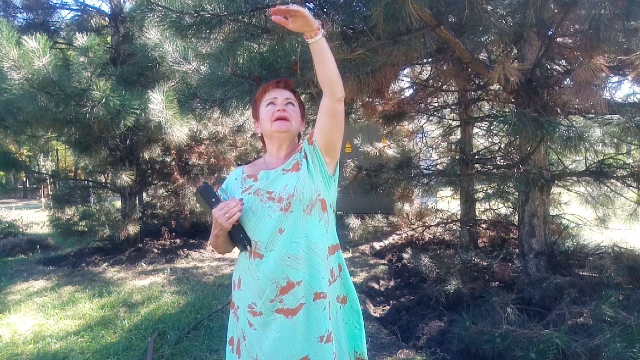 Как молиться на 