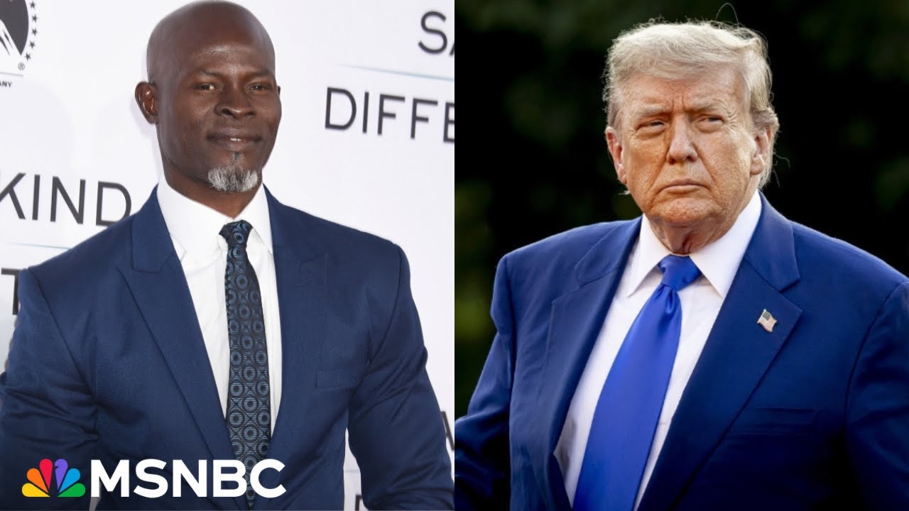 ‘History can unite us’: Djimon Hounsou talks importance of preserving stories in age of Trump