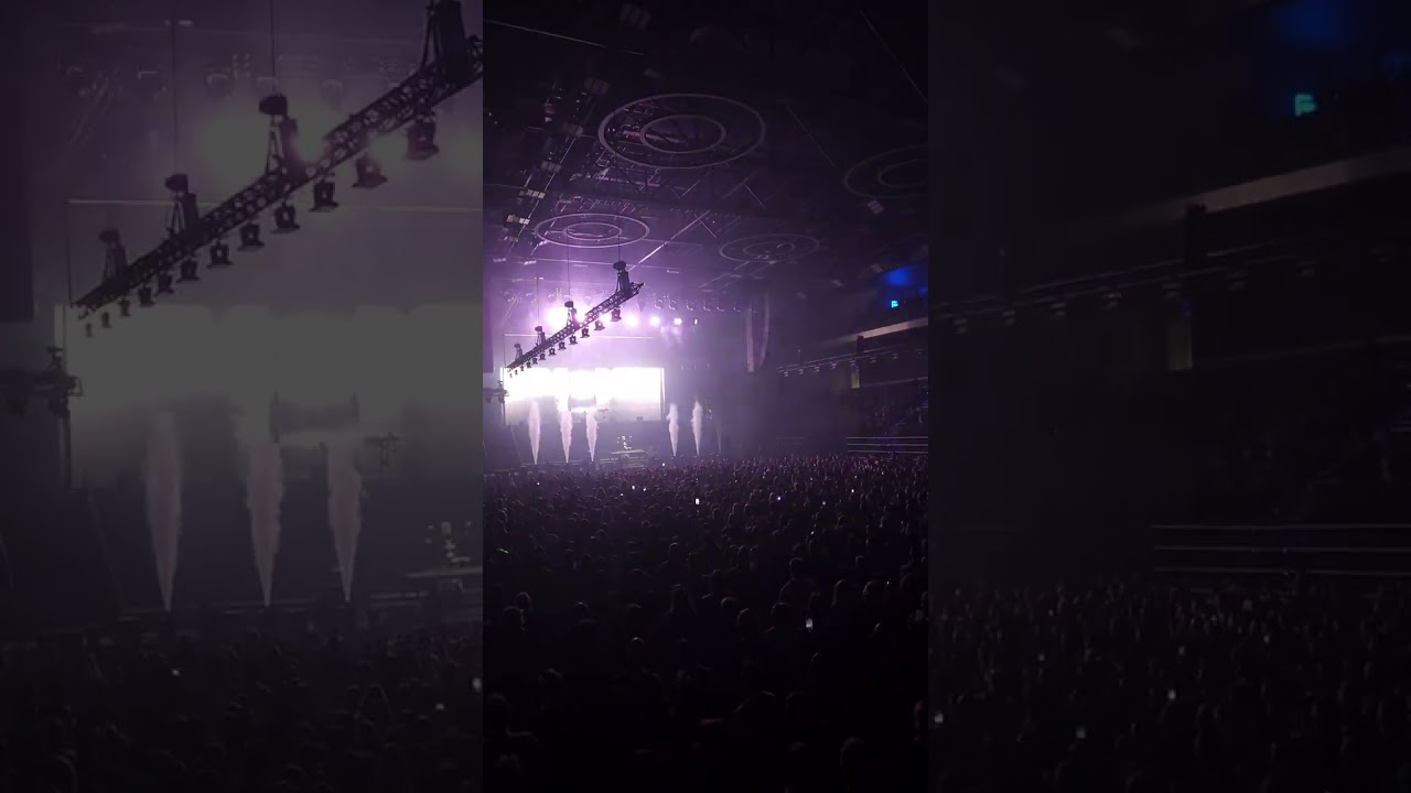 clips from Alina Pash, Malaa's Alter Ego, Apashe 6 Feb 2026