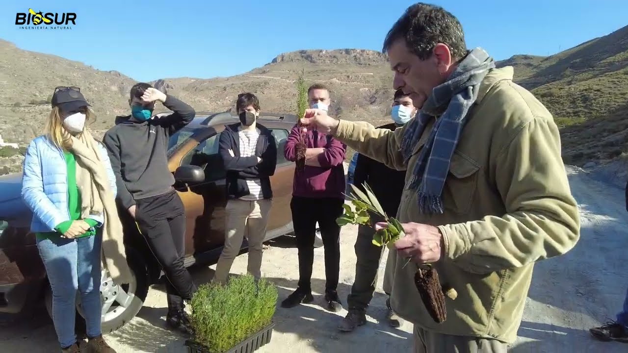 Reforestar sierra de Gádor, un objetivo de todos