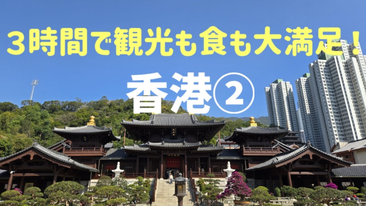 香港を３時間で巡ります！【まりどん旅🇭🇰】