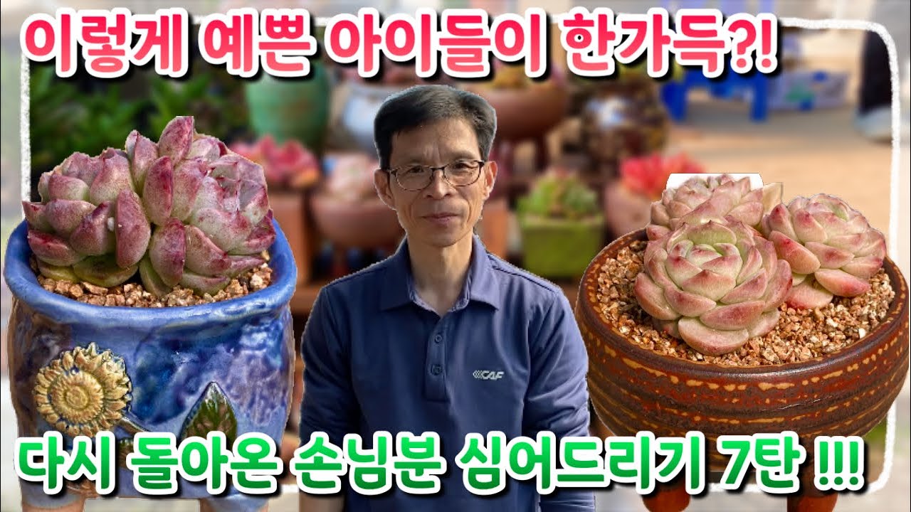 다시 돌아온 손님분 심어드리기! 가지각색 예쁜아이들이 한가득 ?! 다들 어서들 구경오세요 ~!!