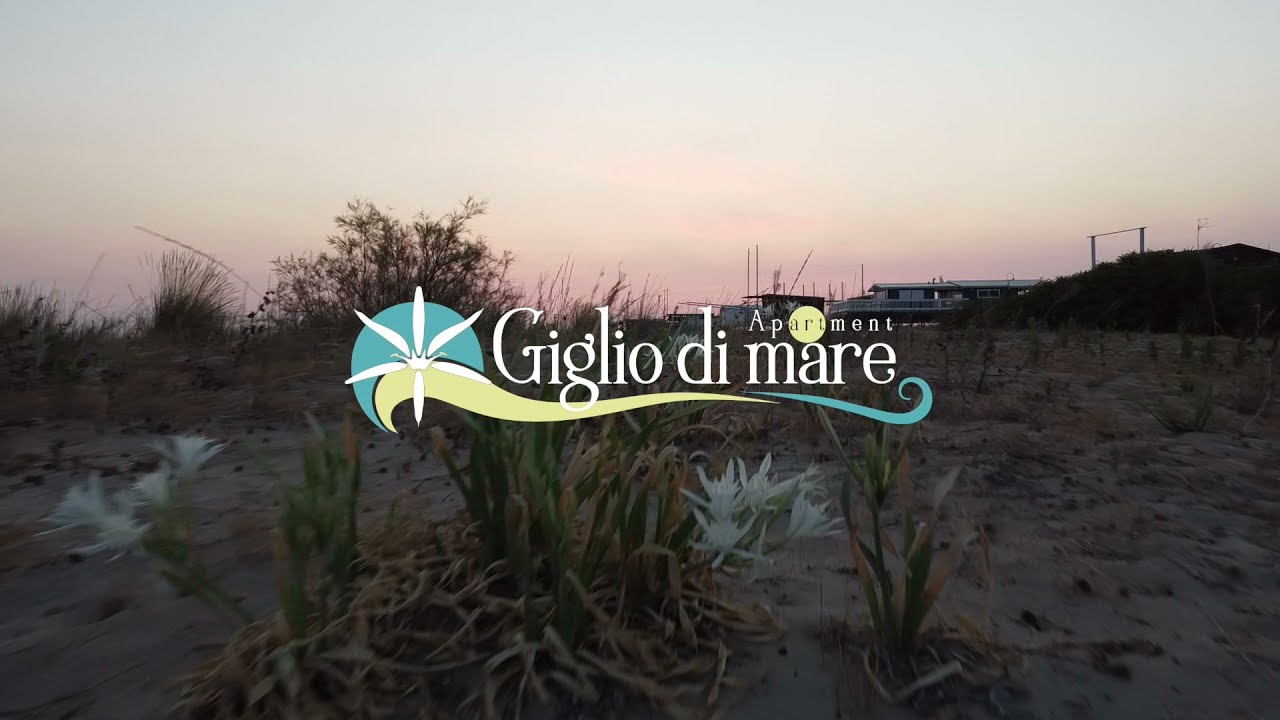 Appartamento Giglio di mare Pescara
