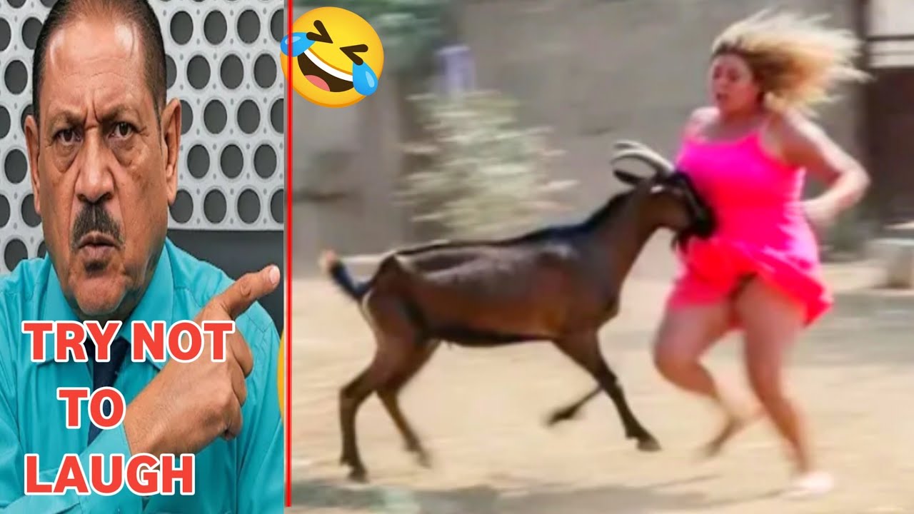 Испытание «Попробуй не засмеяться»🤣 | Самое безумно смешное видео в мире, эпизод 73