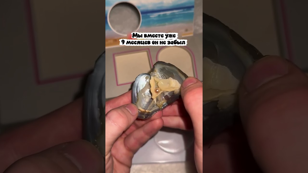 артикул на Яндекс Маркет:YM10235335