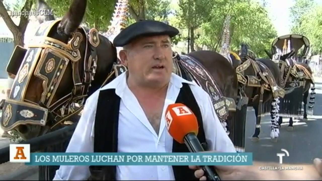 Desfile de carros y reatas en Tomelloso. Ancha es Castilla - La Mancha.