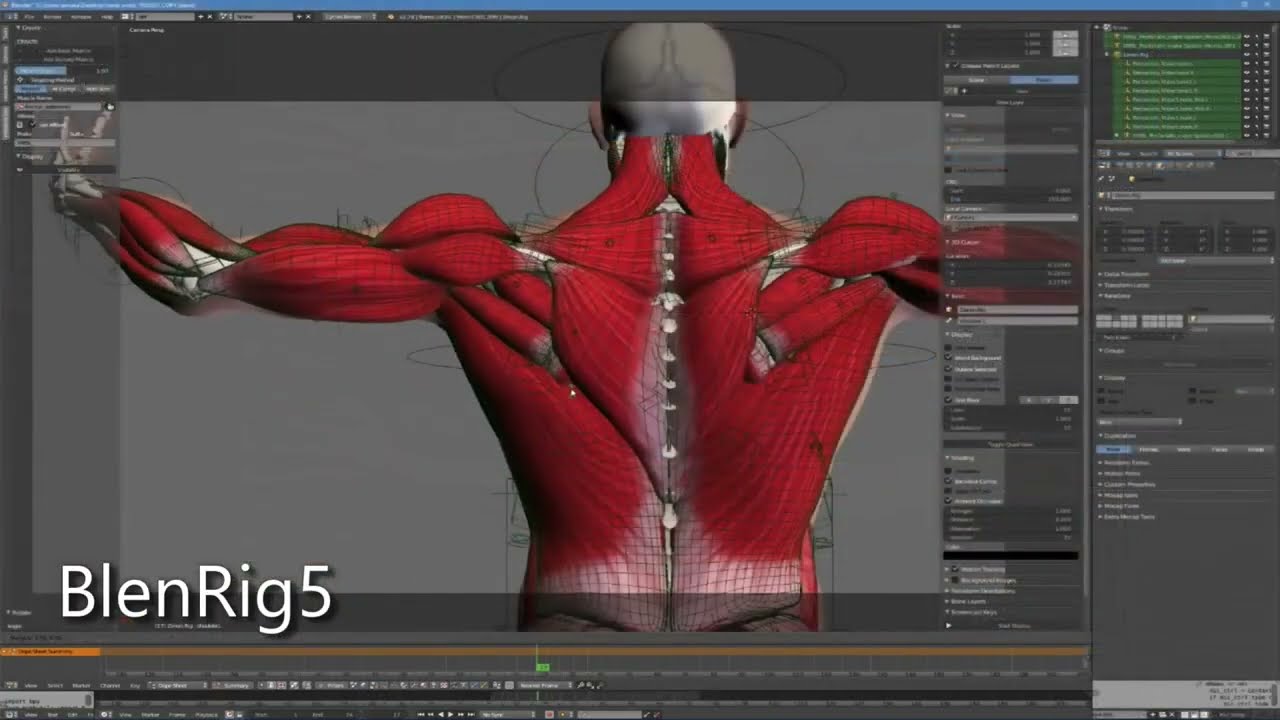 X Muscle System for Blender by Albert Makac