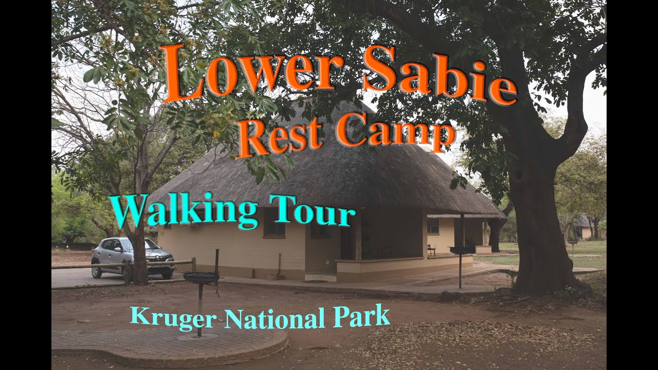 Lower Sabie Camp Walking Tour - Let's Walk! - Kruger National Park, South Africa