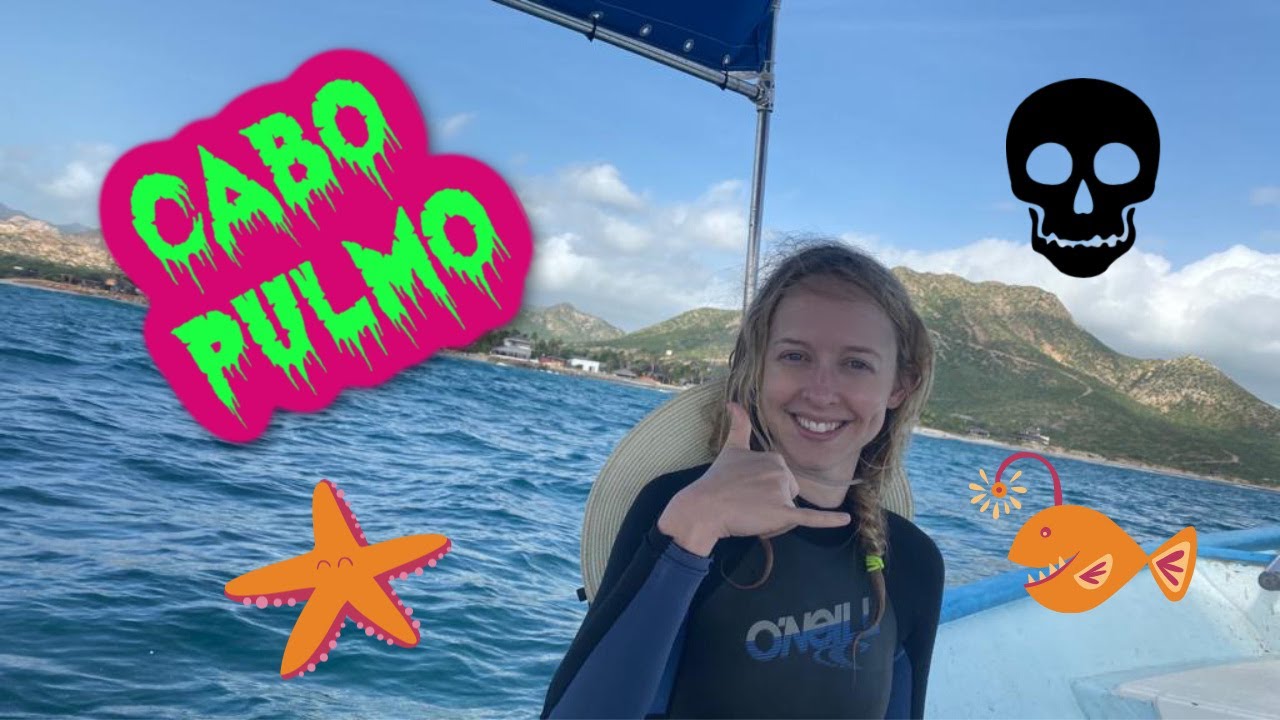 Scariest Dive EVER! Cabo Pulmo!