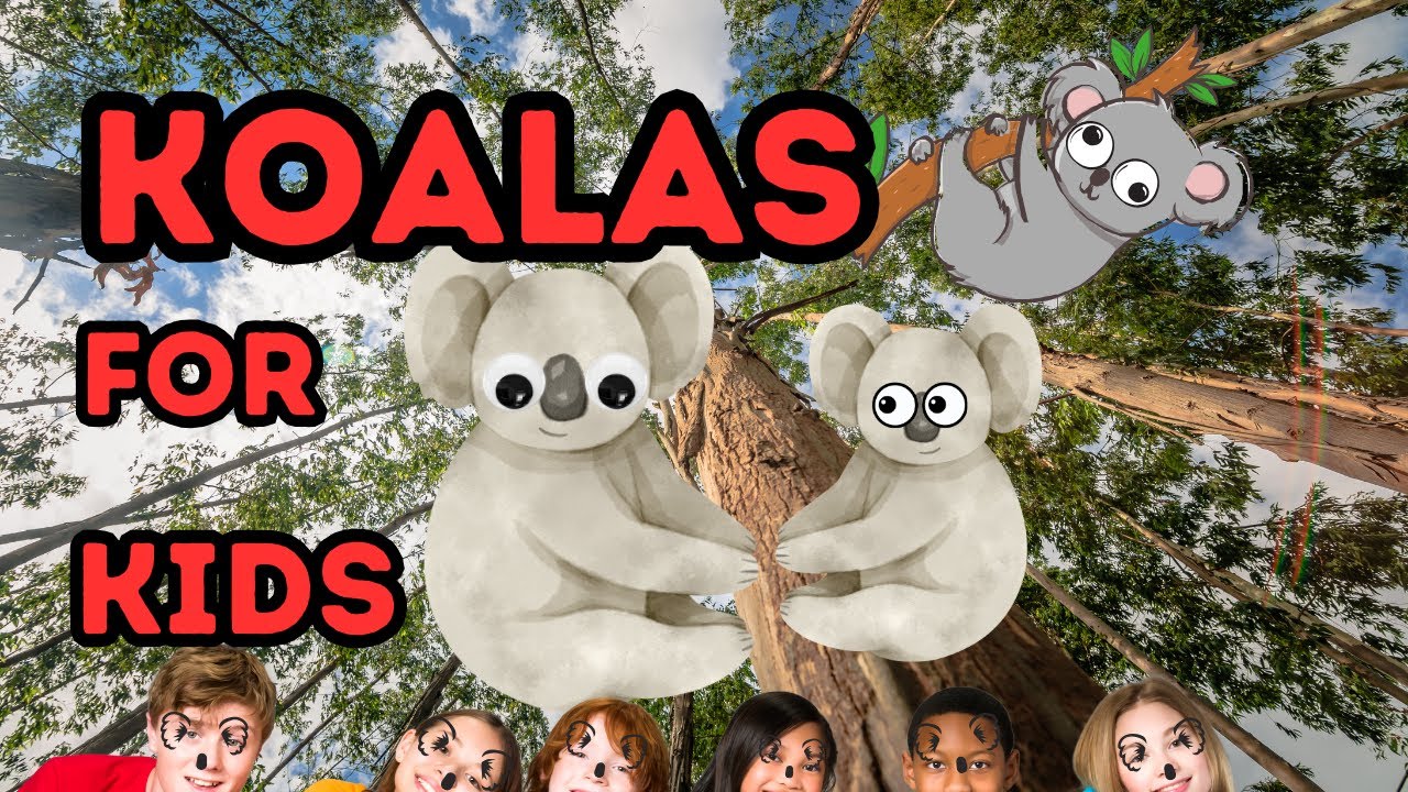 Fun Facts About Koala 