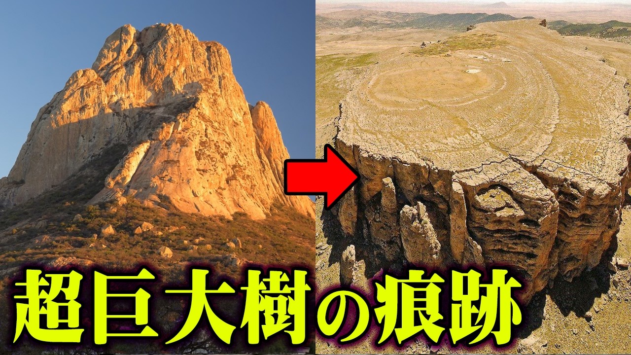 超古代に実在した巨大樹の痕跡がヤバすぎる...UFOと深い関係のある世界の巨木がヤバすぎる&hellip;【 都市伝説 世界樹 UFO 】