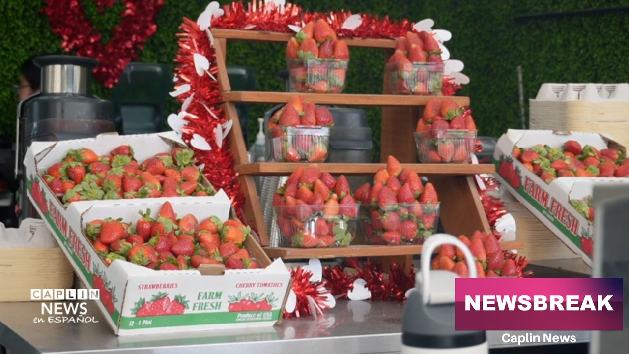 El Festival de la Fresa de The Berry Farm celebra los productos locales