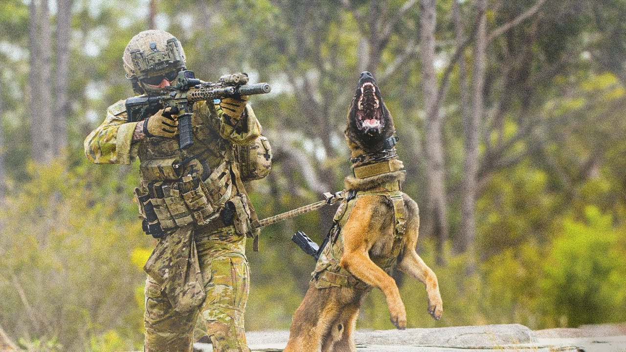 DOGS OF VALOUR | Military Working Dog Documentary
