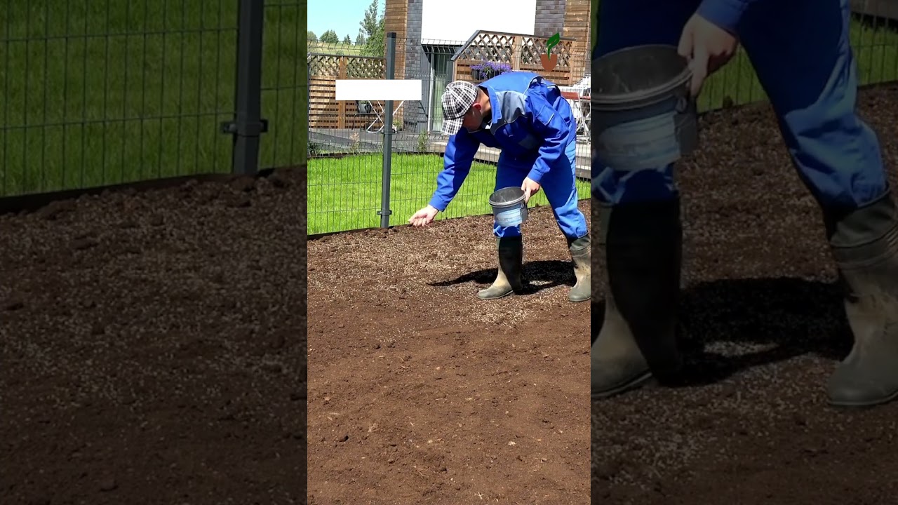 Premium Landscaping Maintenance Package by Landcare