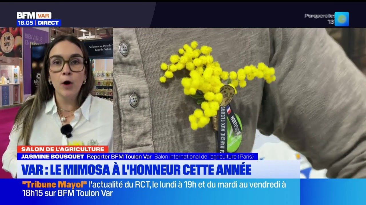 Salon de l'Agriculture : le stand du Var inauguré, le mimosa à l'honneur cette année
