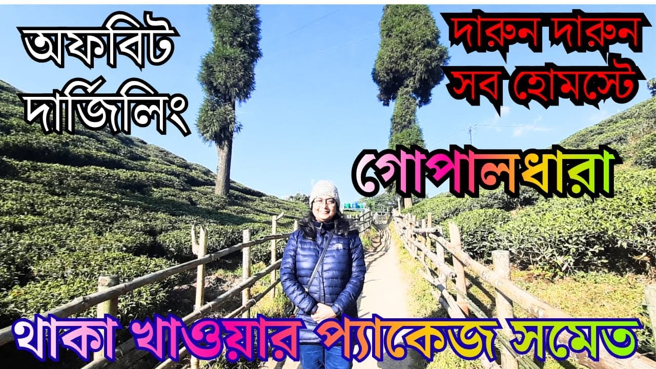Top 10 Stays Near Gopaldhara Tea Estate -2026 Guide | দার্জিলিং এর খুব কাছে চা বাগানে ঘেরা  Homestsy