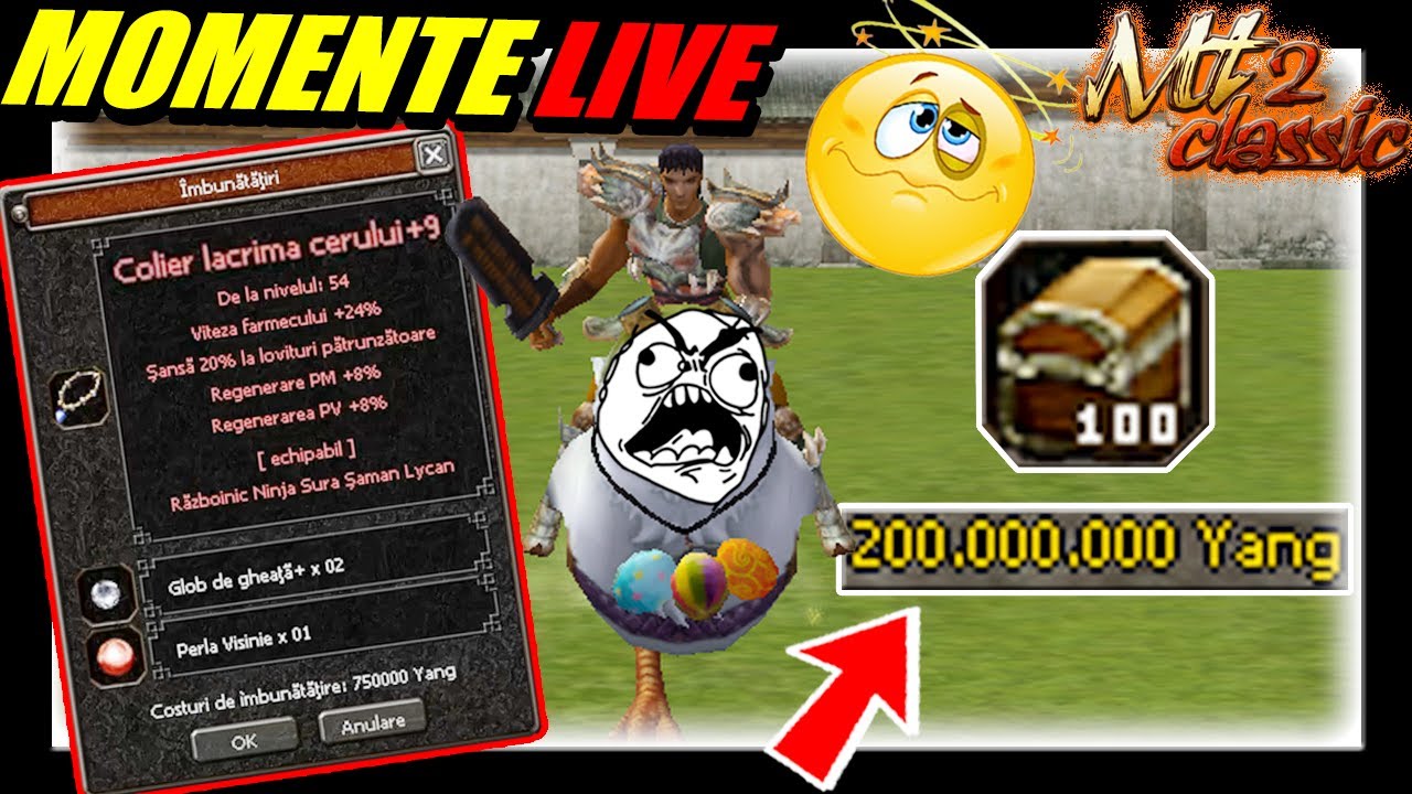 0 WON ➩ 100 ✔️Investim Profitul 💰💰 Batem Vrajitoarea cu Breasla Metin2.ro Tigerghost