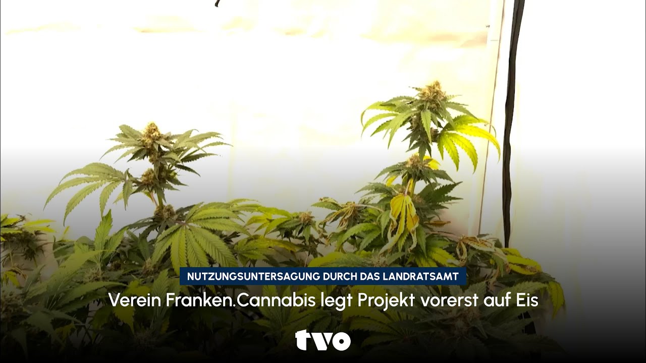 Buttenheimer Cannabis-Club legt Projekt vorerst auf Eis