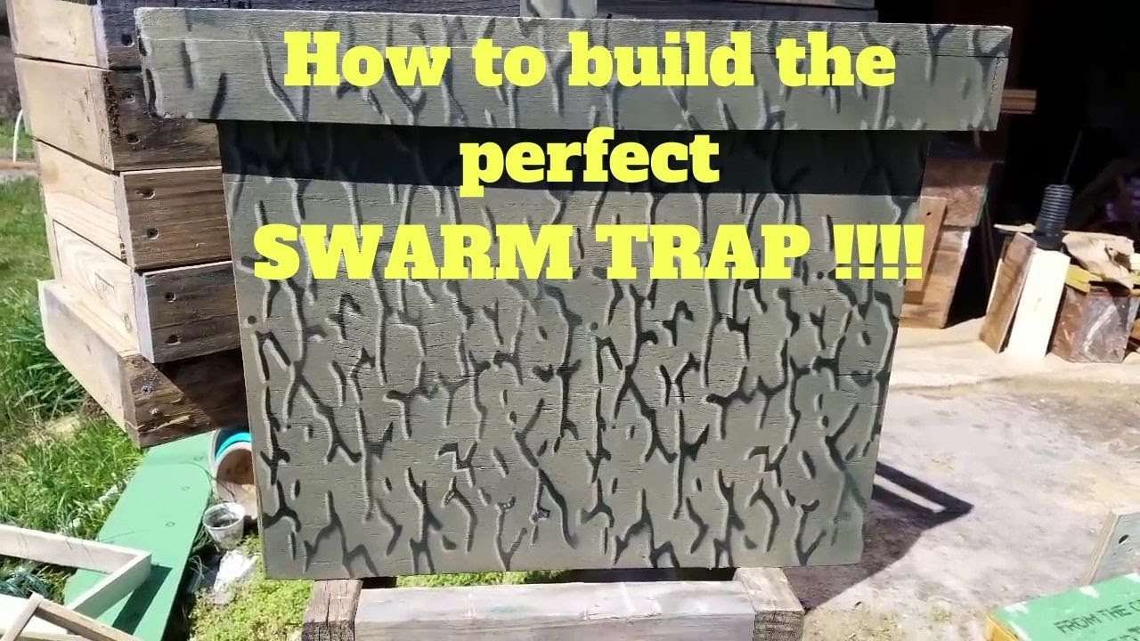 How to build a swarm trap or bait hive to catch honey bees. Part 1 of a season long series.