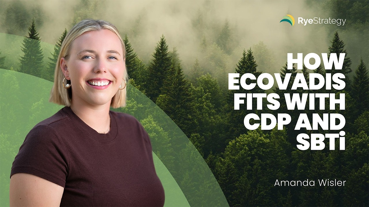 How EcoVadis Fits with CDP and SBTi