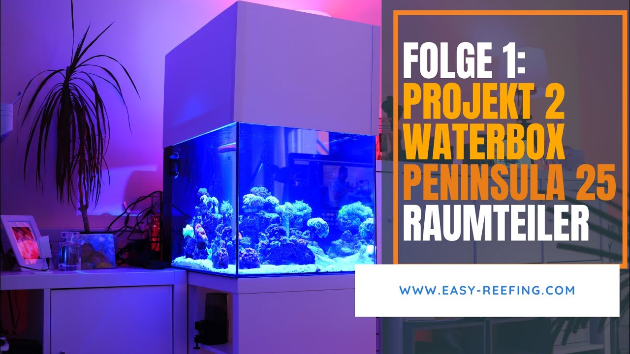 Projekt 2 - 🐠 Waterbox Peninsula 25 Raumteiler (Nur mit Wasserwechsel)