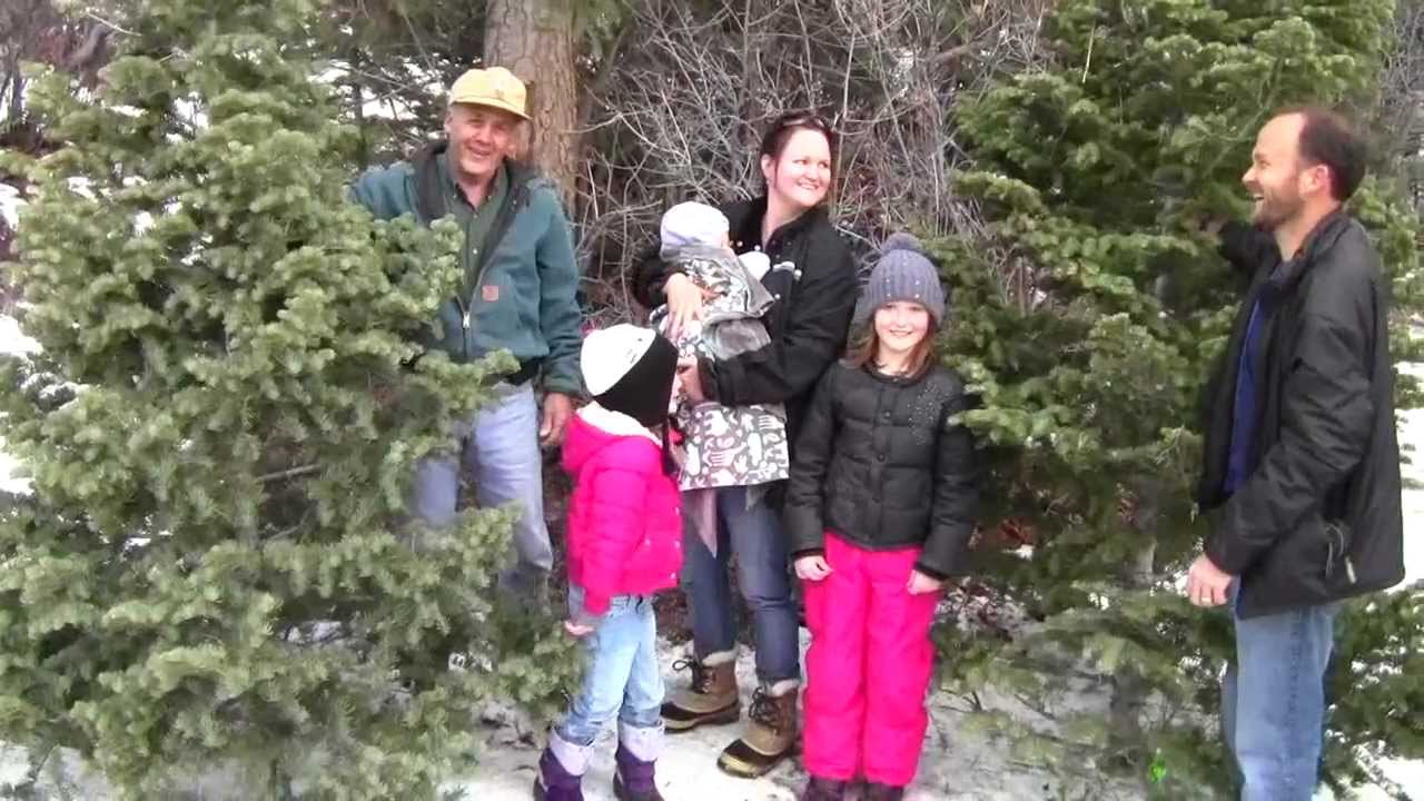 Christmas Tree Cutting / Family Tradition now includes the Firebox Stove!