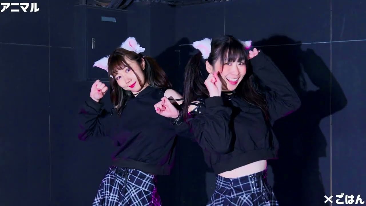 2025年踊ってみたまとめ！
