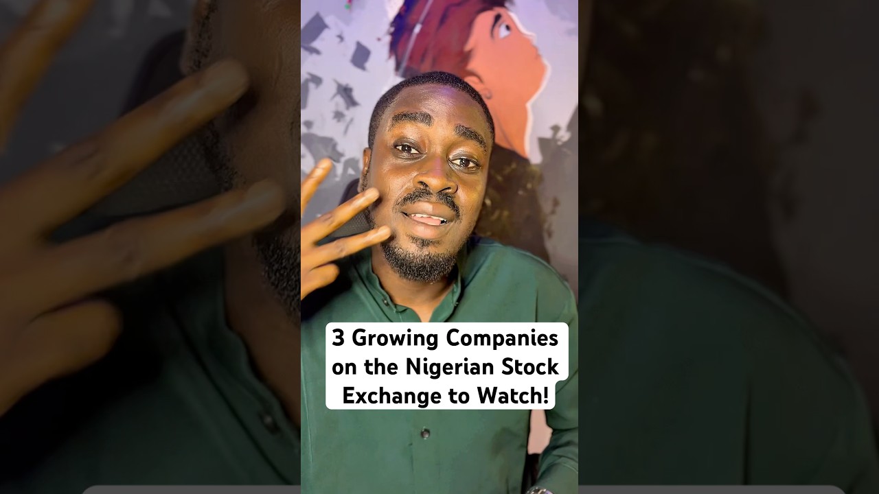 3 Exciting Nigerian Stock Market Picks for 2025! 