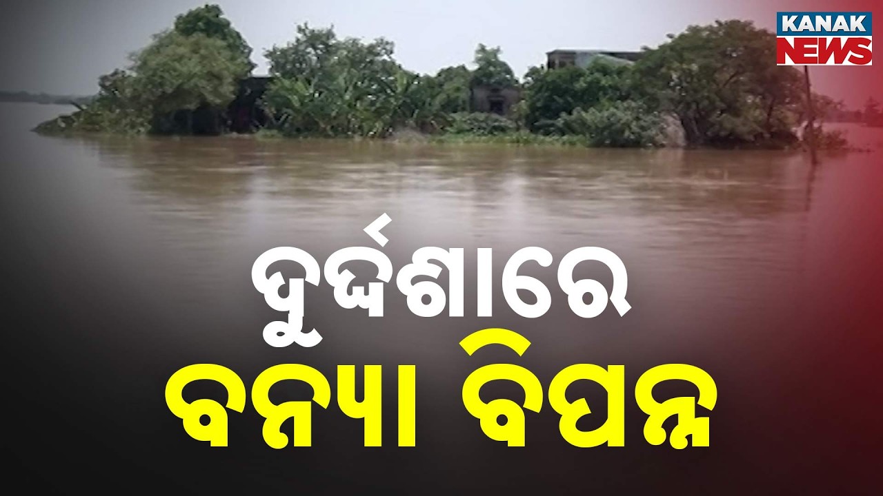 ବନ୍ୟା ଘେରରେ ଜନଜୀବନ | Odisha Flood Crisis Deepens: Flood Victims Struggle as Normal Life