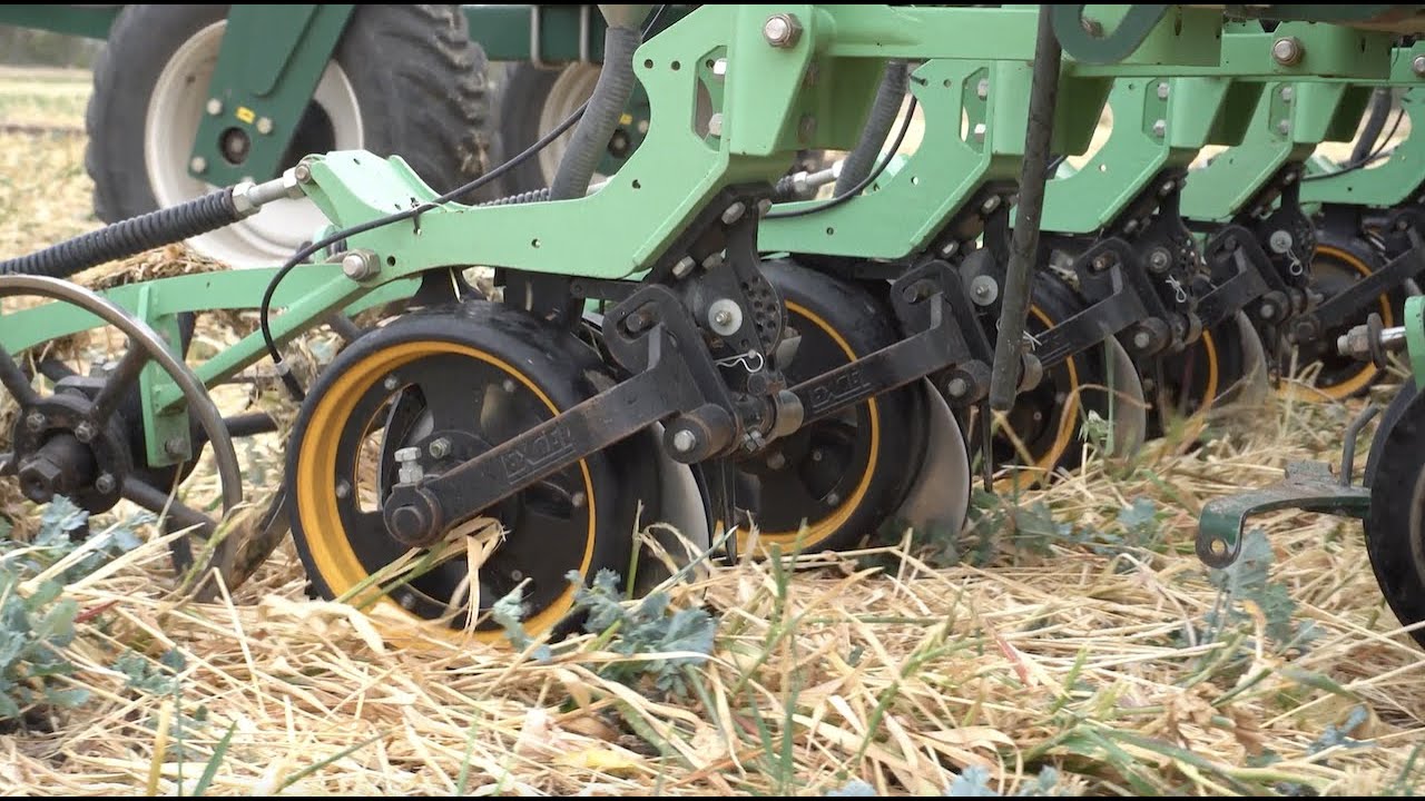 Regenerative Farming Revolution - Multi Species Disc Planting plus MS Cover Crops to be harvested.