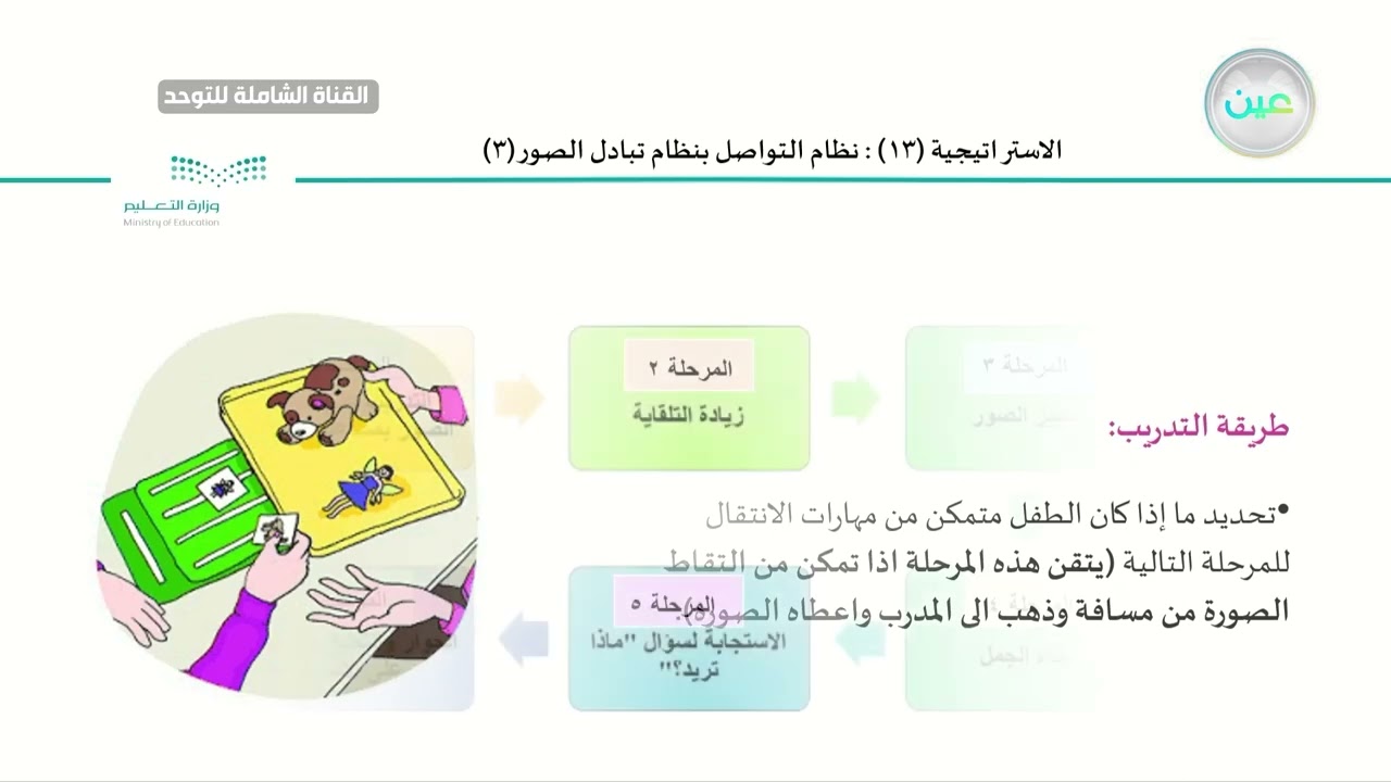 الاستراتيجية (١٣): نظام التواصل بتبادل الصور (3)القناة الشاملة