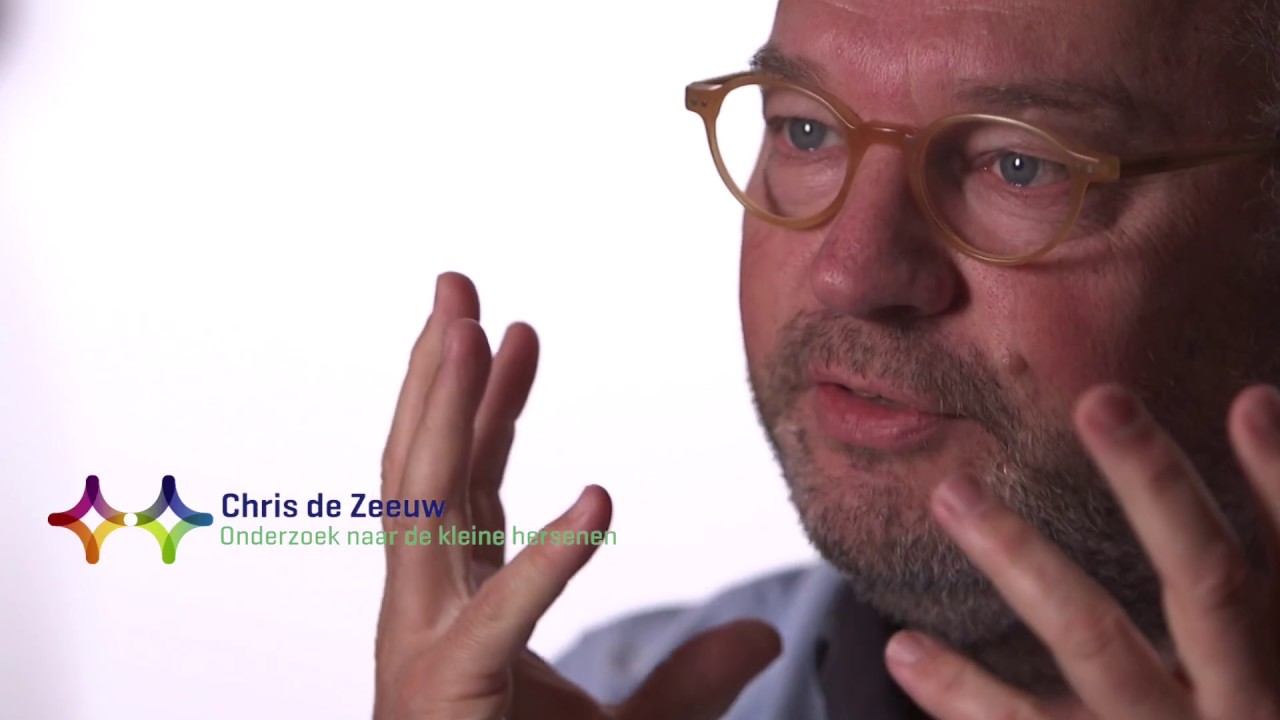 Onderzoek naar de kleine hersenen - Chris de Zeeuw