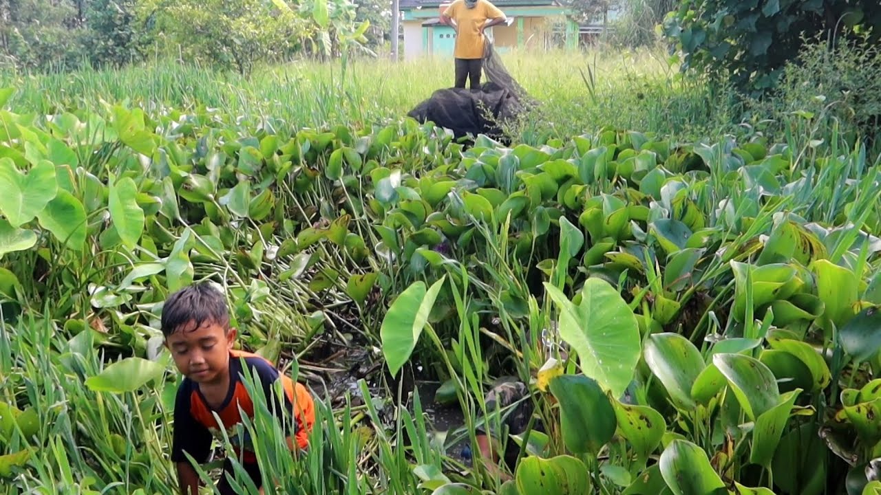 Indah!!! jadi enak dipandang mata//ngeruk eceng dibawah tempat duduk hasilnya mantap jiwa