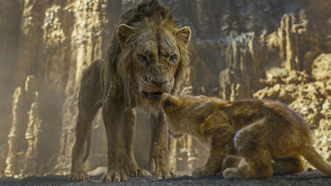 UM LEÃOZINHO FRACOTE VAI ENFRENTAR SEU TIO PARA RECUPERAR O TRONO DA SAVANA!