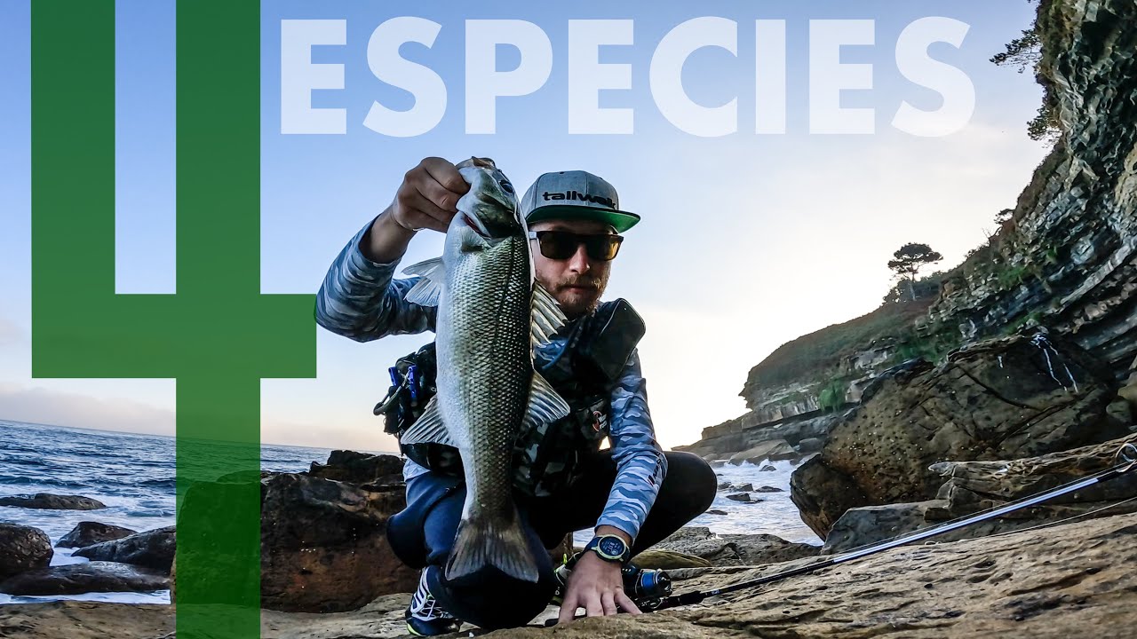 PESCA de CUATRO ESPECIES DISTINTAS en UNA JORNADA a SPINNING en el CANTABRICO