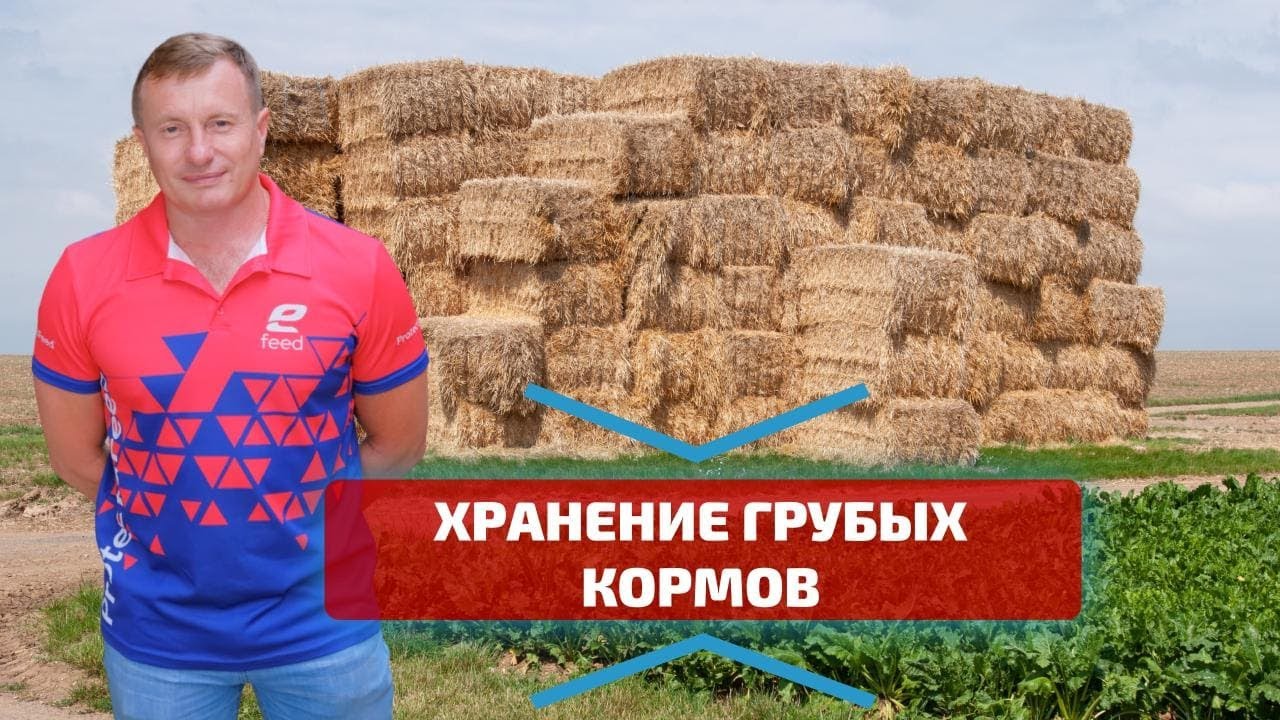 Как использовать и хранить грубые корма? Способы заготовки и хранения сена и соломы. Влажность сена.