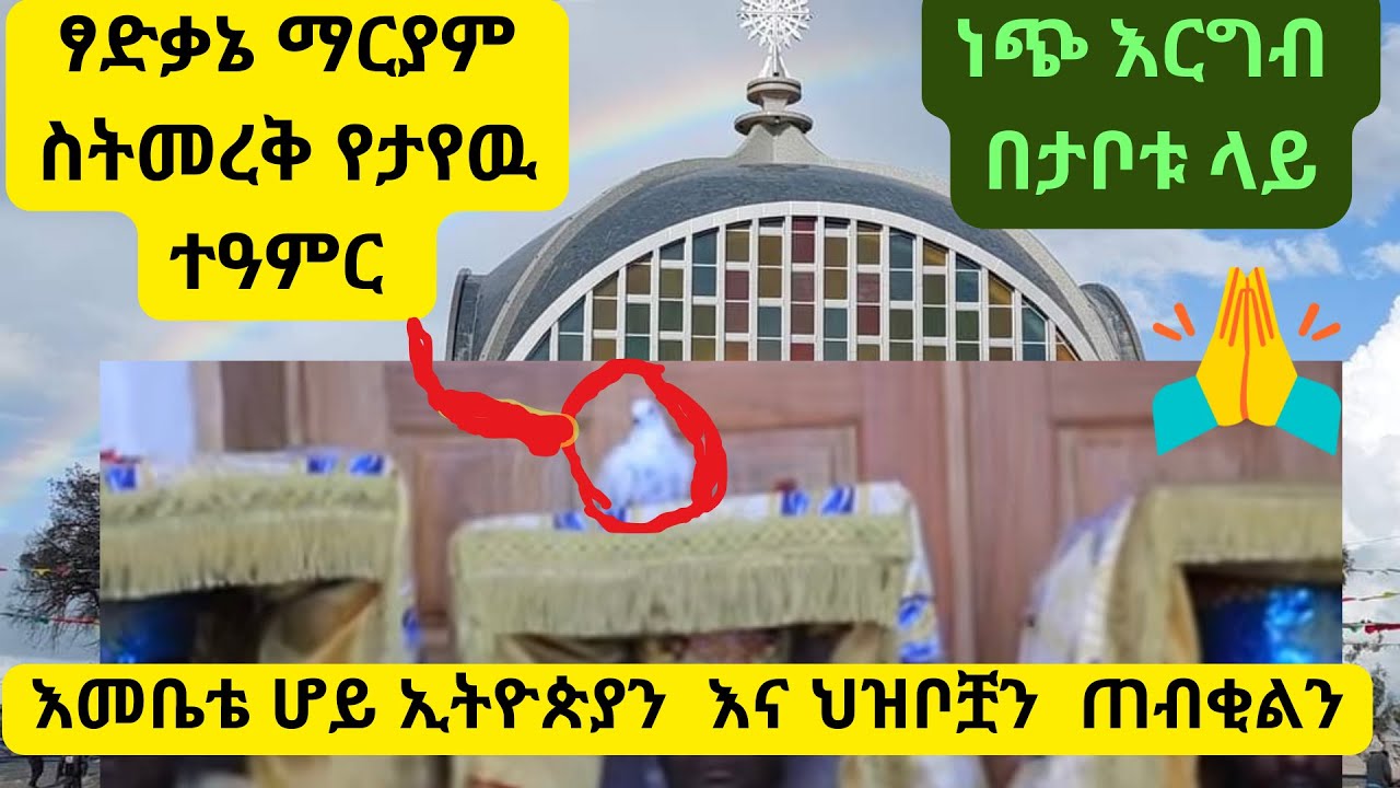 #የሆነውን