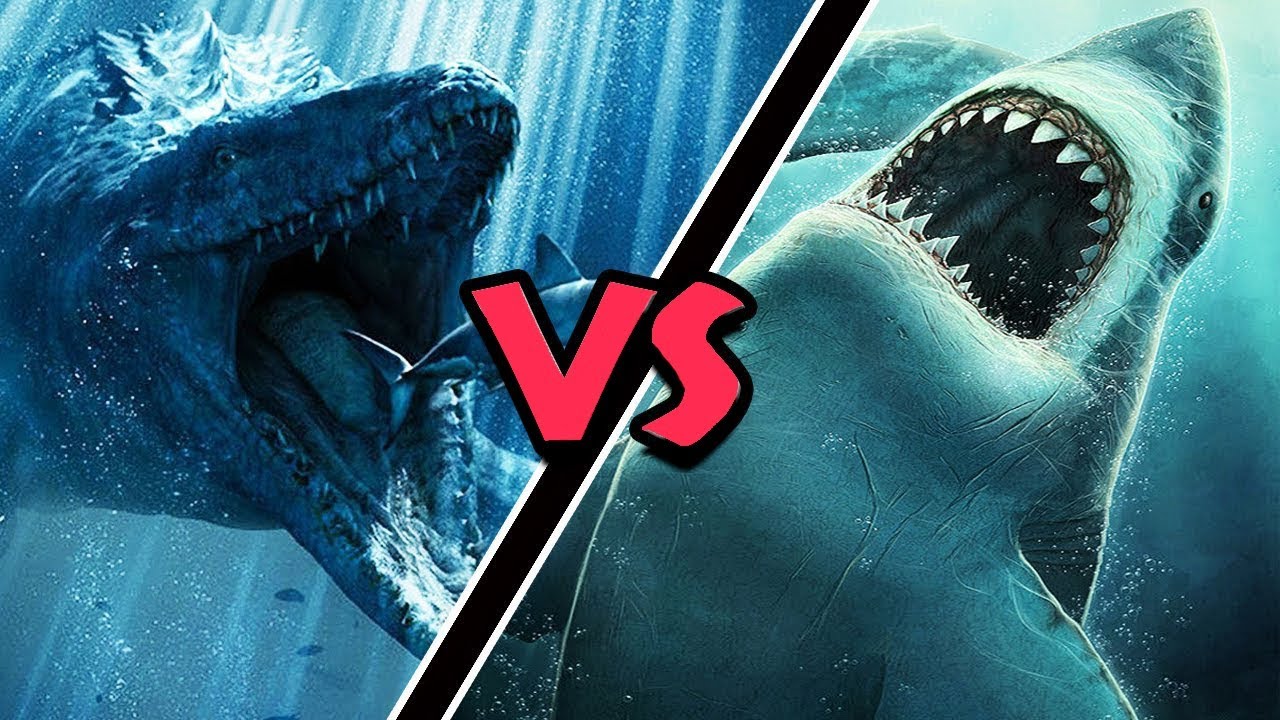 Mosasaurus VS Megalodon &ndash; (Who Would Win?)