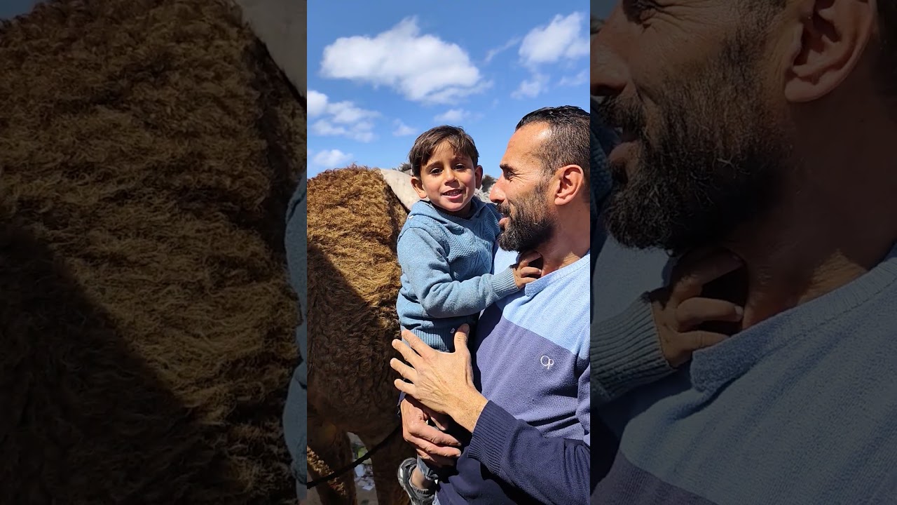 لما حمادة يقرر يعمل فيها 