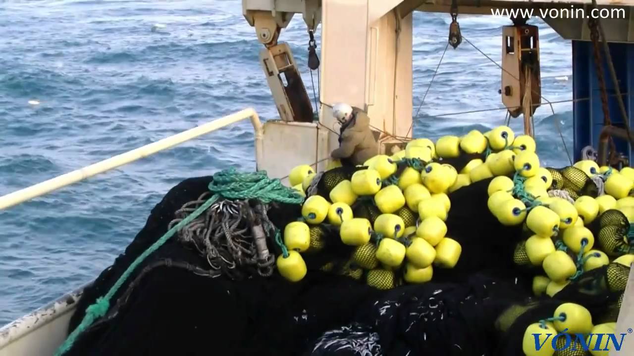 m/v Jupiter purse seining for Caplin