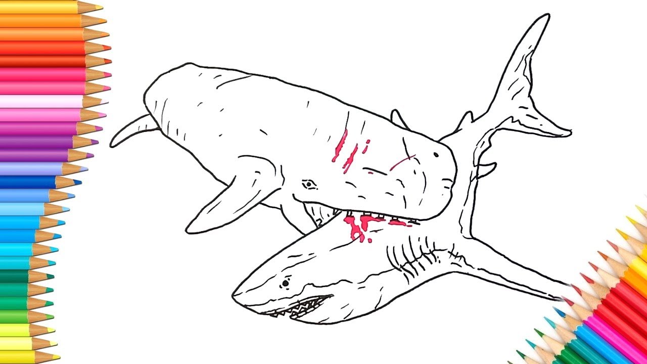 How To Draw Megalodon Vs Livyatan