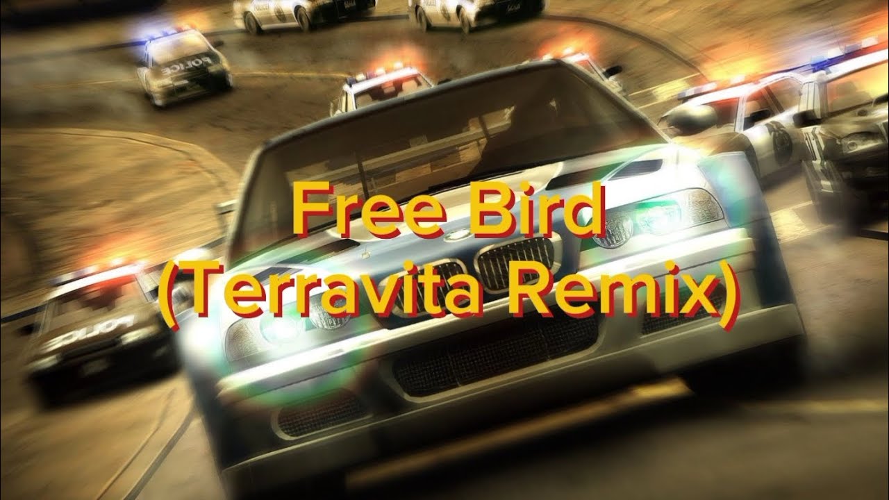 Free Bird (Terravita Remix) (DRUM AND BASS REMIX) (NOT MINE) (Reupload)