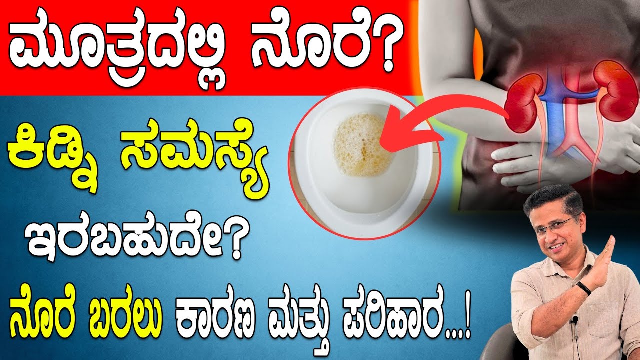 ಮೂತ್ರದಲ್ಲಿ ನೊರೆ? ಕಿಡ್ನಿ ಸಮಸ್ಯೆ ಇರಬಹುದೇ ? ಕಾರಣ ಮತ್ತು ಪರಿಹಾರ | Foamy Urine: Symptom, Causes &Treatment