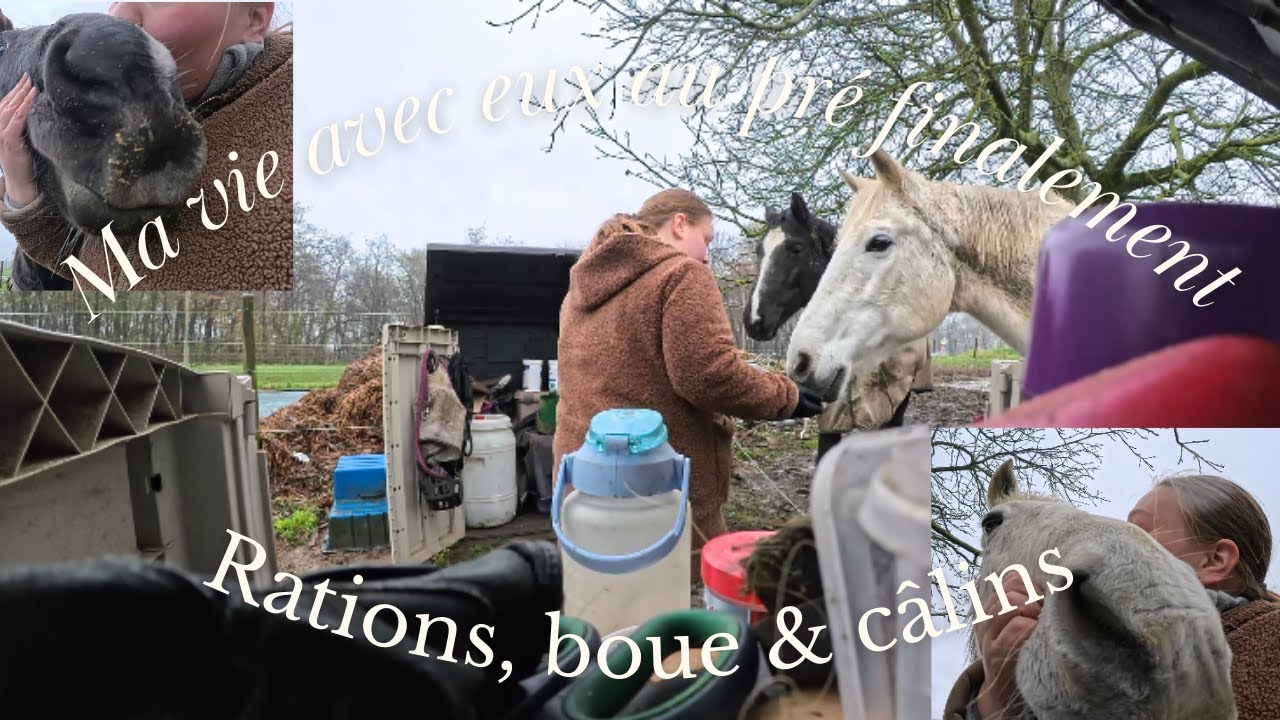 La vraie routine au pré: de la boue, de la pluie et une caméra pas très flatteuse 😭