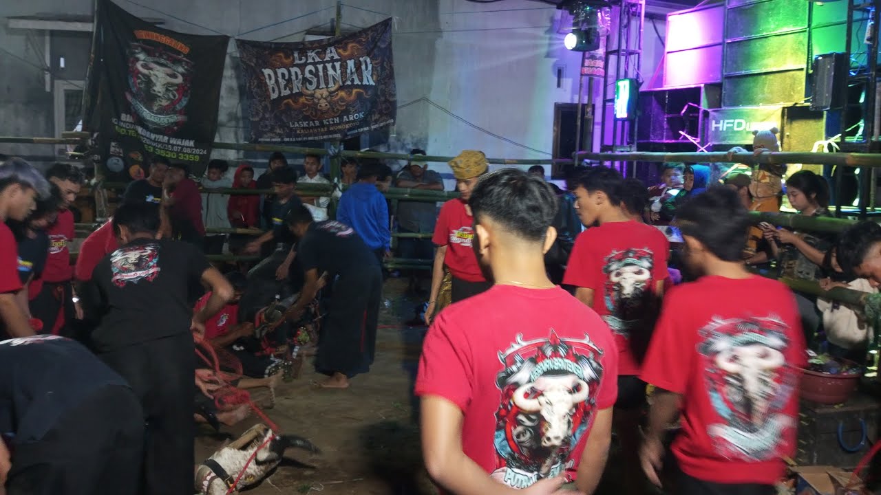 Live Bantengan edisi Pohkecik - Wajak❗