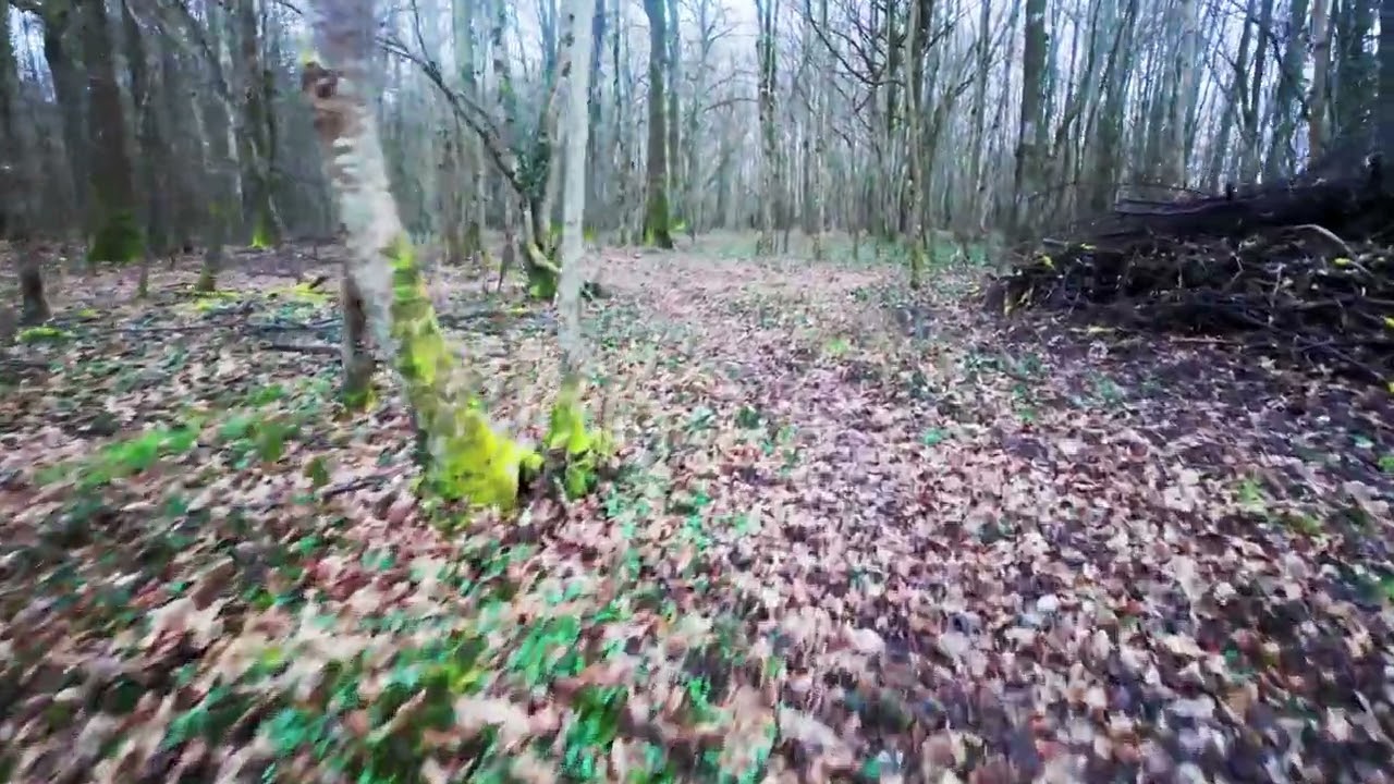 Silent Walk Through French Countryside | Fields, Woods & Light Rain | 4K Nature ASMRDescriptio