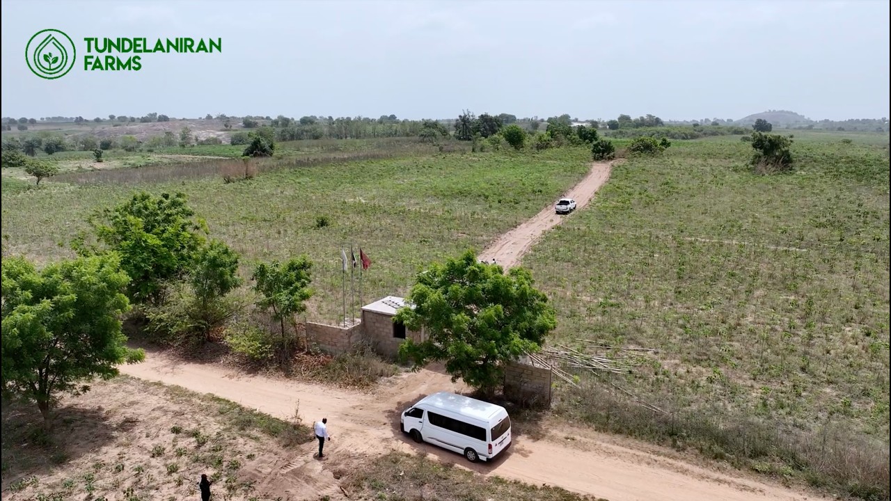 Start AgriBusiness in a secure and thriving farm estate in Nigeria | TundeLaniran Farms Estate